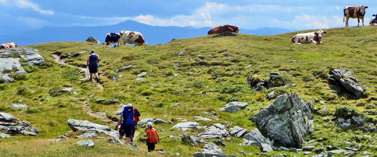 Sommerurlaub im Salzburger Lungau - Weißpriach